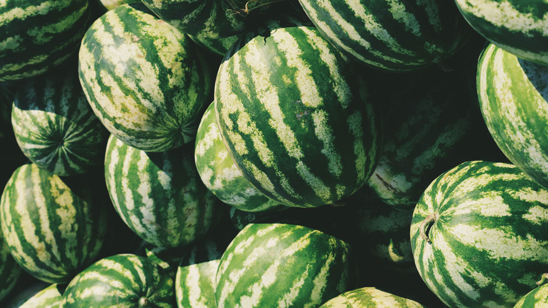 watermelons