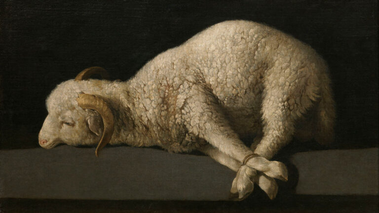 Lamb dying