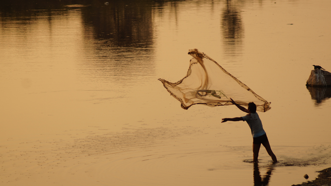 Man fishing with a net