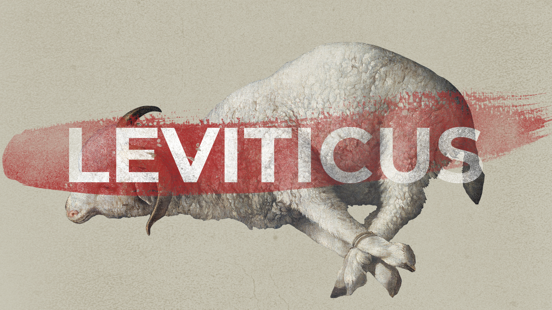 Leviticus graphic with a sheep bound up in the background