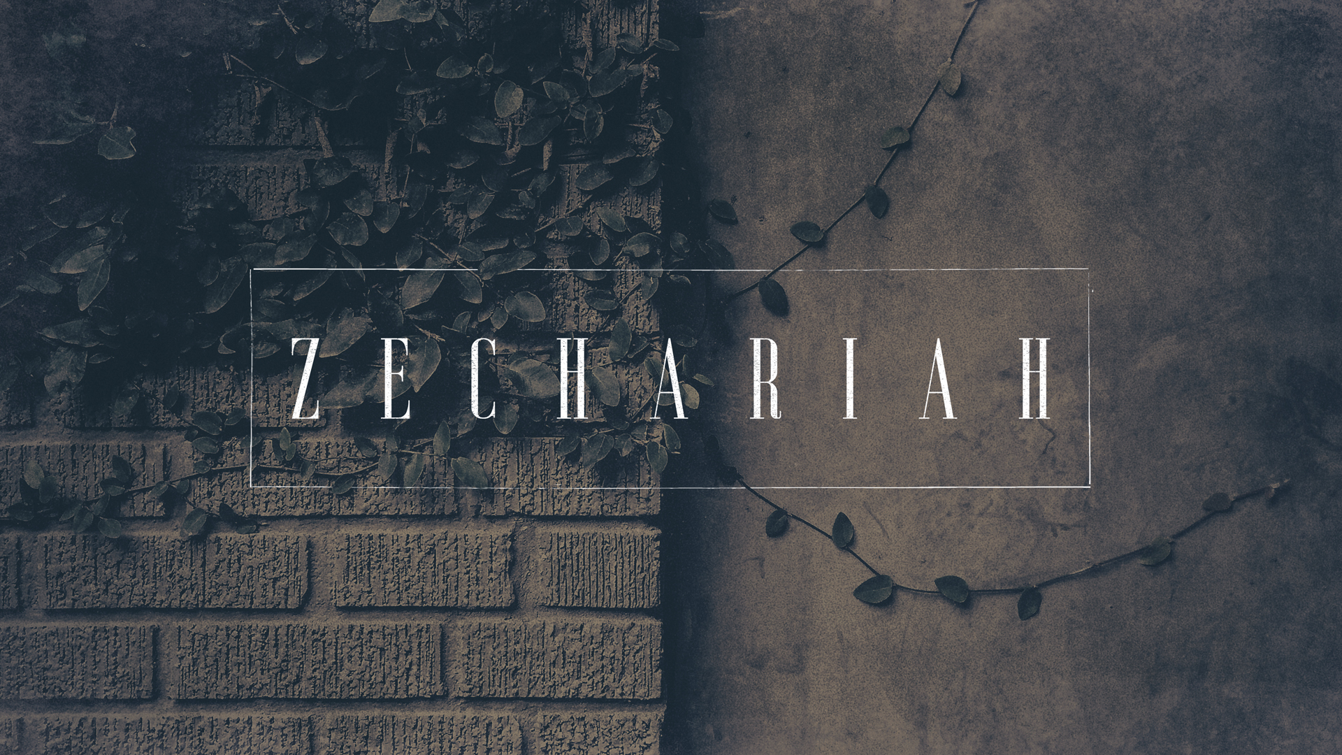 Zechariah graphic