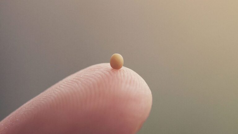 Small egg looking object on the tip of a finger