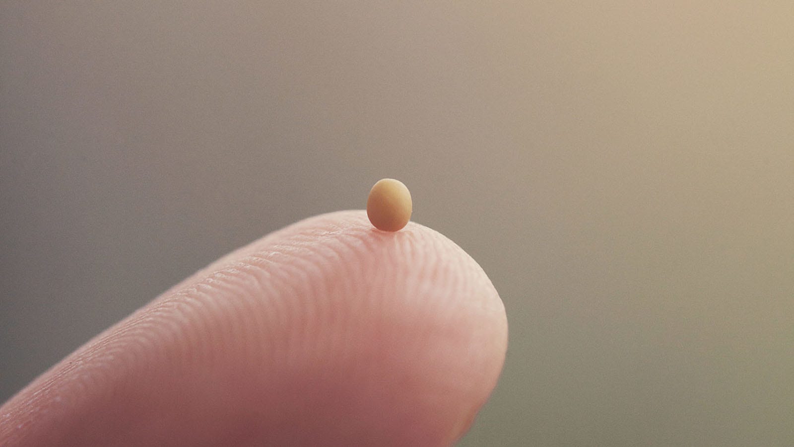 Small egg looking object on the tip of a finger